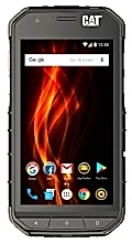 Cat S31