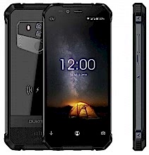 WP1