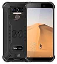 WP5