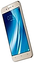 Y53