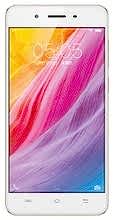 Y55